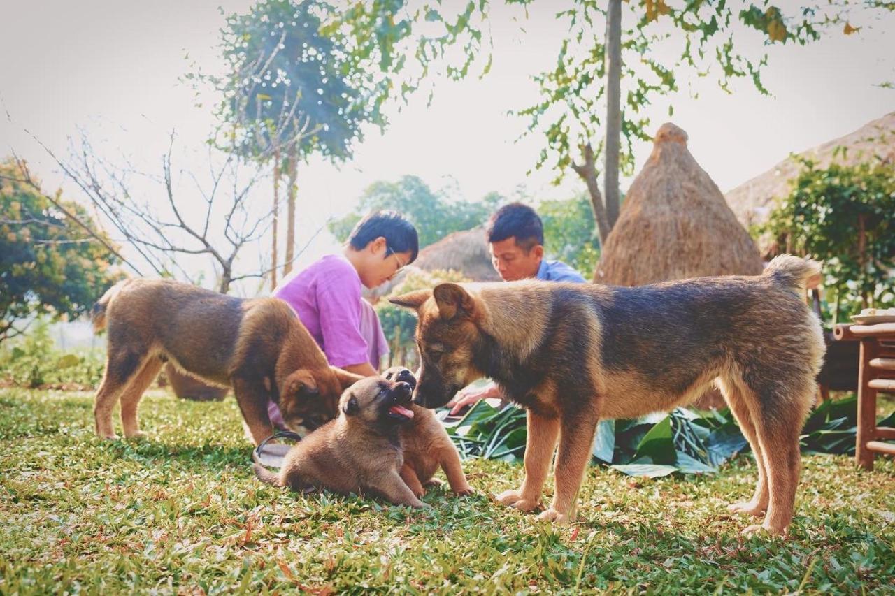Mai Chau Valley Retreat Zewnętrze zdjęcie