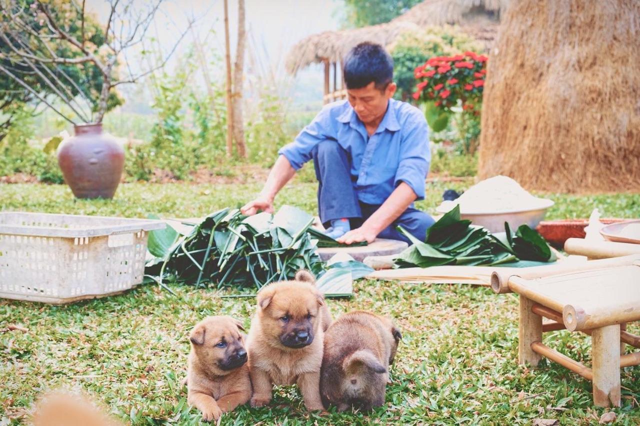 Mai Chau Valley Retreat Zewnętrze zdjęcie